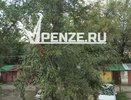 На улице Привокзальной огромная ветка аварийного тополя помяла «Калину»: жители не раз добивались обрезки дерева
