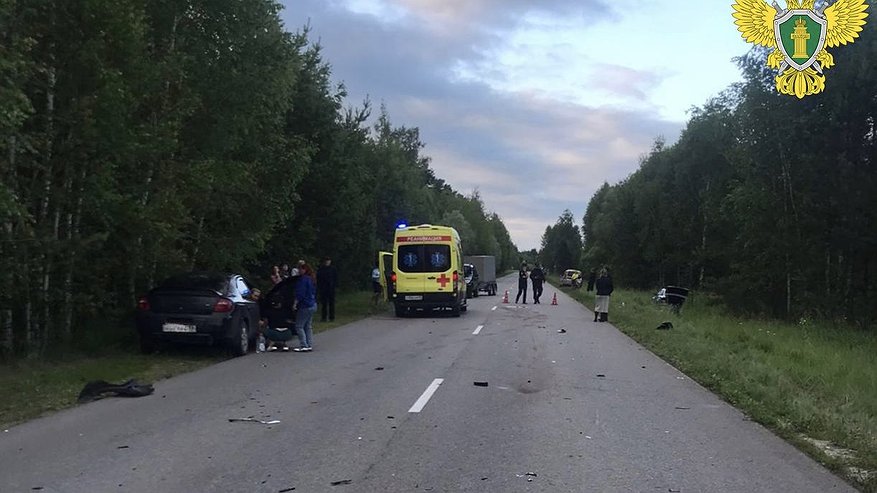 Главная картинка новости: Под Пензой произошла трагедия: погиб ребенок