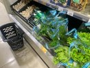 Ученые назвали самую полезную зелень: не петрушка и не щавель, и в два раза полезнее базилика