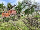 У драмтеатра в Пензе вырубают больные деревья