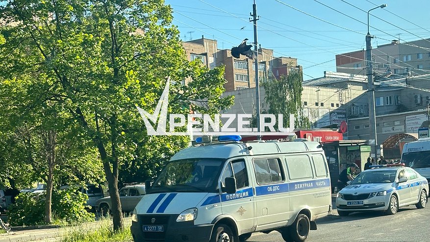 Главная картинка новости: Пензенские полицейские поделились историей своего знакомства
