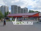 Весь город – под бензопилу? Пензенцы бьют тревогу из-за массовой гибели деревьев