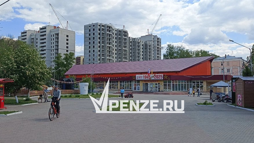 Главная картинка новости: Весь город – под бензопилу? Пензенцы бьют тревогу из-за массовой гибели деревьев