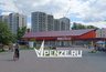 Миниатюра новости: Весь город – под бензопилу? Пензенцы бьют тревогу из-за массовой гибели деревьев