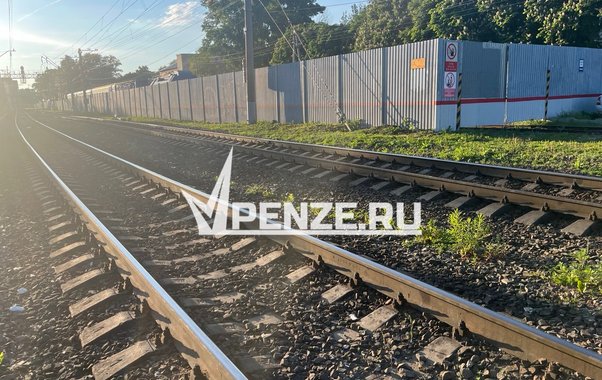 Женщина попала под поезд на станции в Лунино
