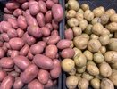 Чтобы картошка в квартире не прорастала - придумала метод хранения: и до марта без ростков, если постараться. И есть 2 тонкости