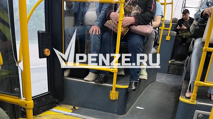 Главная картинка новости: На ул. Терновского пожилая женщина упала в общественном транспорте