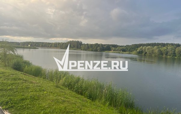 В Суре обнаружили сброс черной жидкости