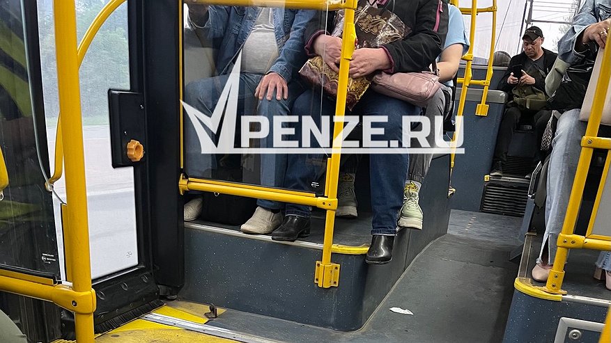 Главная картинка новости: В Пензе водитель троллейбуса обматерил пассажирку, за что получил выговор