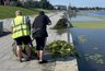 Миниатюра новости: Суру вновь почистили от водорослей в районе набережной