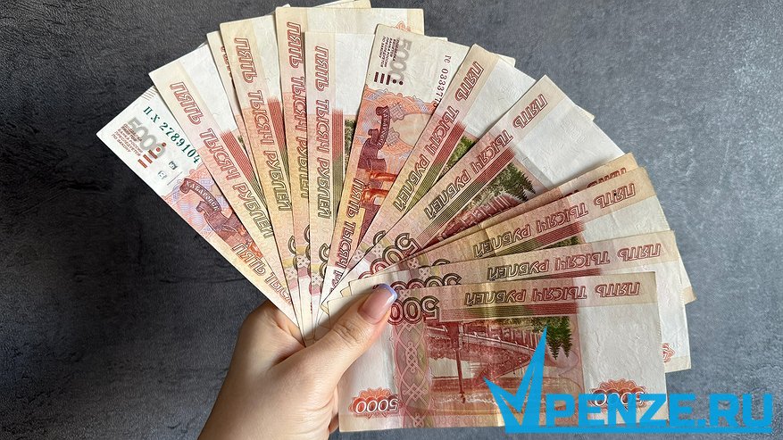 Главная картинка новости: Жительница Городищенского района украла деньги матери, чтобы погасить долги