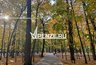Миниатюра новости: В Пензенской области благополучно завершились поиски 94-летней пенсионерки, заблудившейся в лесу
