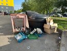 В Сосновоборском районе началась ликвидация крупной свалки