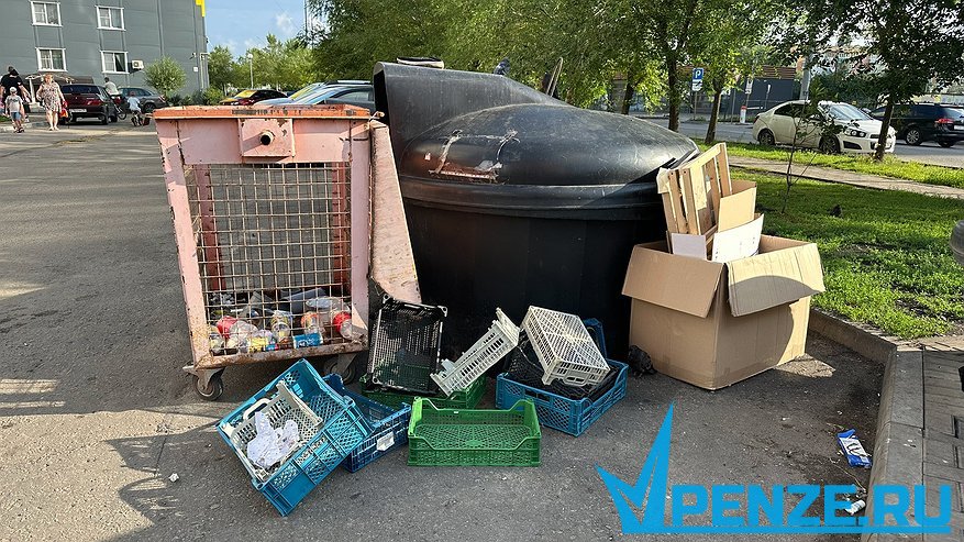 Главная картинка новости: В Сосновоборском районе началась ликвидация крупной свалки
