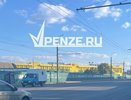 Вся правда о спасении выдры Тони из Пензенского океанариума