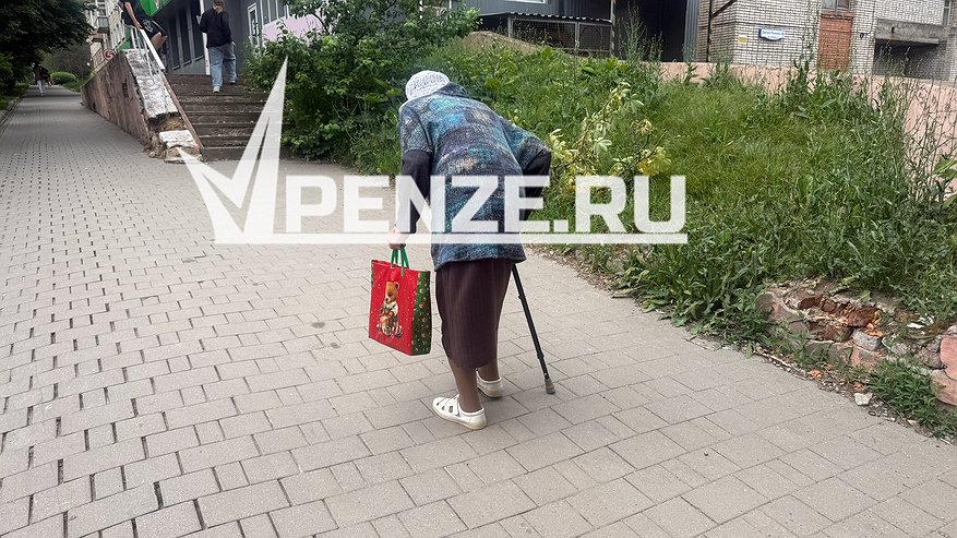 Главная картинка новости: Житель Липецкой области вырвал из рук 70-летней пензячки 10 млн рублей