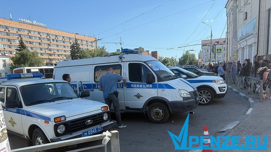 Главная картинка новости: В Пензе женщина в ходе бытового конфликта ударила отца ножницами