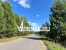У 11-ти пензенцев в июле обнаружили клещевой боррелиоз