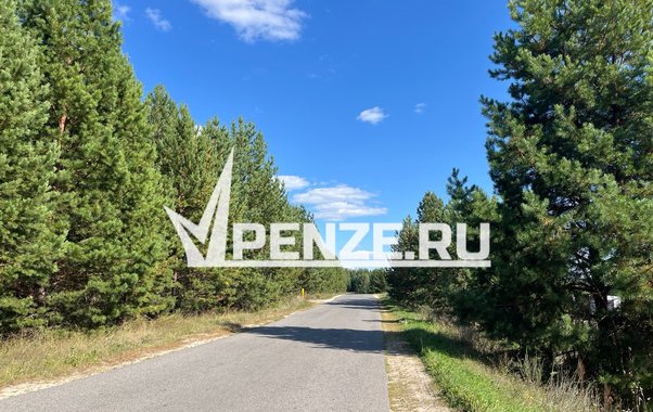 У 11-ти пензенцев в июле обнаружили клещевой боррелиоз