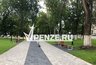 Миниатюра новости: В Пушкинском сквере массово вырубают деревья