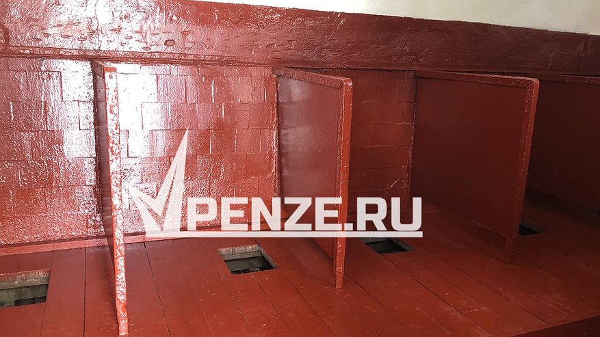 Главная картинка новости: «Туалет на улице, «баня» - общая»: пензячка пожаловалась на ужасные условия отдыха детей в лагерях