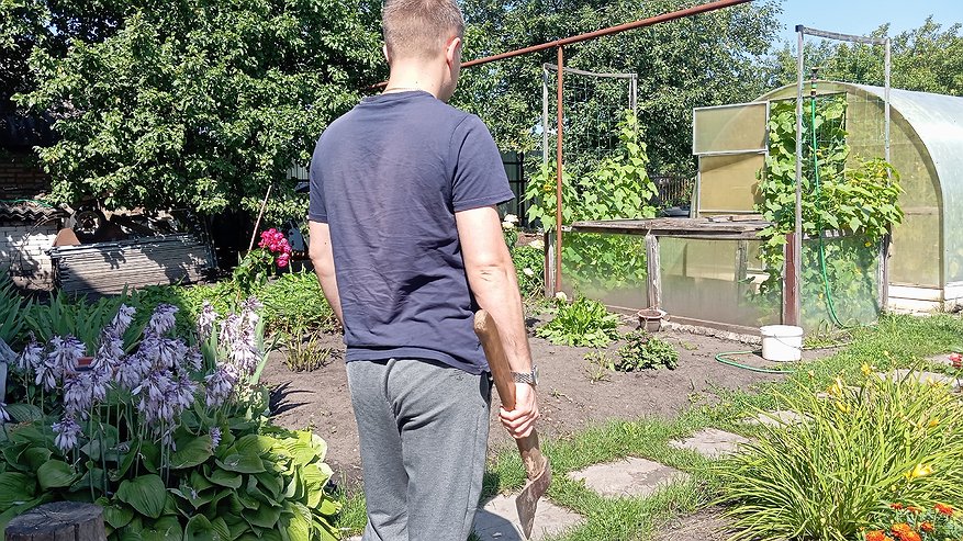 Главная картинка новости: Съездил на сезон поработать в Польшу и понял, почему наши деревни пустеют — и дело тут не только в зарплатах