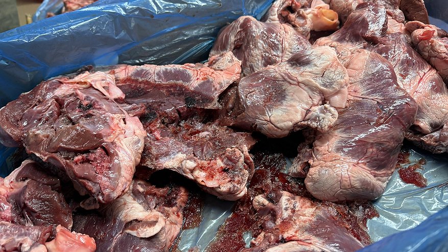 Главная картинка новости: Что не так с мясом из «Светофора»: почему оно дешевое и стоит ли его покупать