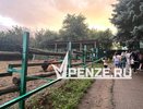 Ура! Шотландскому бычку Серкану из Пензенского зоопарка нашли невесту
