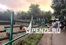 Миниатюра новости: Ура! Шотландскому бычку Серкану из Пензенского зоопарка нашли невесту