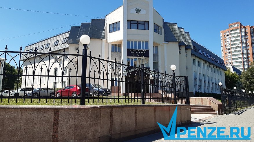 Главная картинка новости: В Пензе иностранец убил свою сожительницу из-за ревности