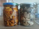 Супер маринад для грибов на зиму: никакого  кислого вкуса, стоят в банках до весны свежие, как только что собранные