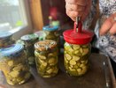 Соленые огурцы на зиму теперь делаю только так, другие способы не признаю: без уксуса, без сахара, без стерилизации