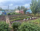 Кидаю 3 ложки на кучу — перегниют даже толстые ветки: быстрый компост без усилий — земля будет как хлеб