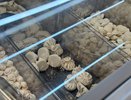 "Элитные" пельмени из "Ермолино": прочли состав, сварили, попробовали — вот честное мнение о продукте