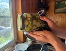 Почти все хозяйки совершают эту ошибку: вот почему соленые огурцы теряют хруст и становятся мягкими и склизкими