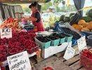 Вот чем торгуют простые люди у дороги, если ехать бесплатно по М-7 из Москвы. Зарабатывают деньги на всем, что только можно