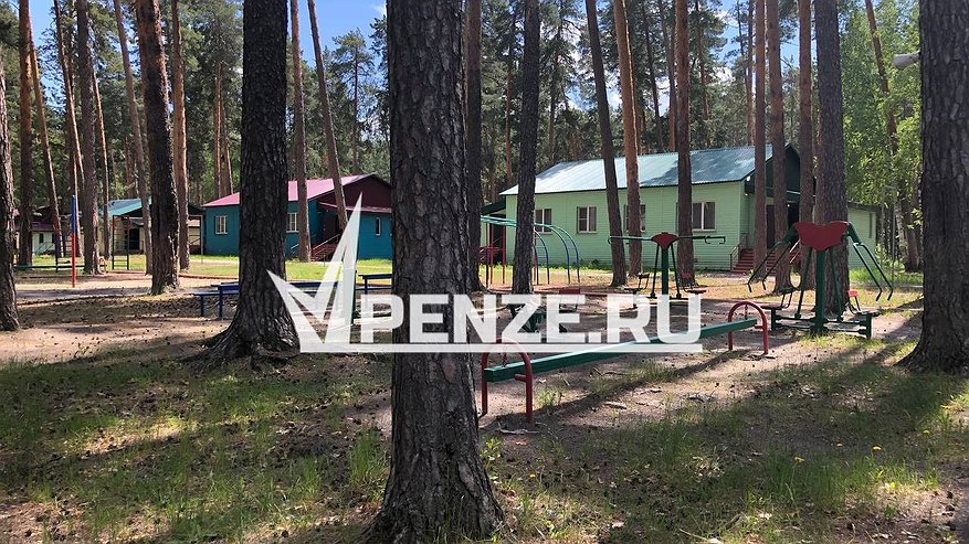 Главная картинка новости: Рекордные 650 млн рублей ушло на детских отдых в пензенских лагерях
