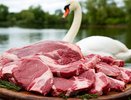 Почему охотники не едят лебедя, хотя там много мяса. Гусей же едят. Что не так с этой птицей