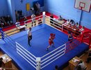 Августовский обзор событий в мире пензенского бокса