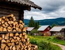Какие дрова для печки самые экономные и жаркие, и не забивают дымоход — рассказали жители деревни