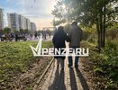 Стали известны команды сильнейших пензенских пенсионеров в региональной Спартакиаде
