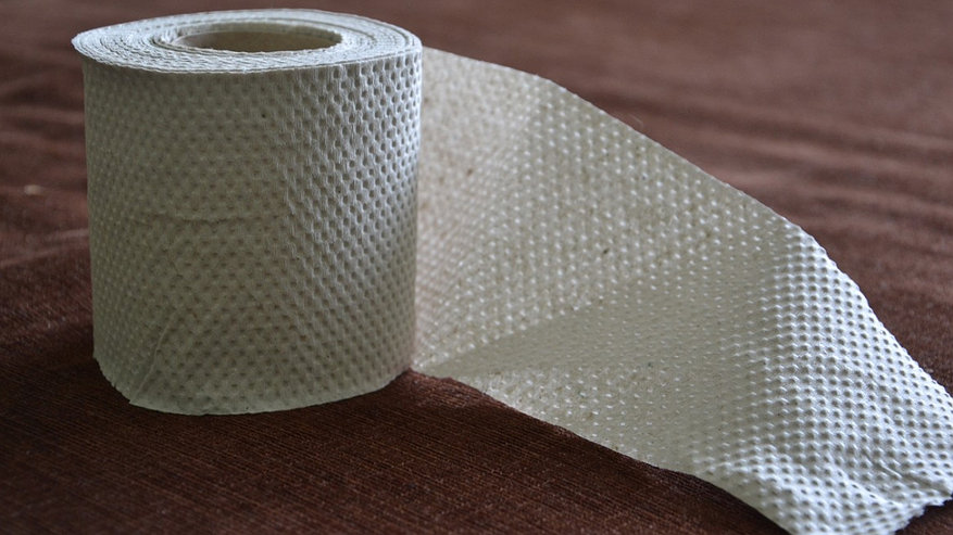 Главная картинка новости: Раз в неделю кладу туалетную бумагу в холодильник и наслаждаюсь результатом: вот зачем так делаю — лайфхак немецких хозяек