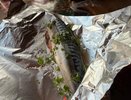 В "Светофоре" скумбрию купил 249 р/кг. Принёс домой и пожалел - вот, что получилось