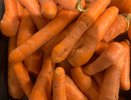 Когда уже можно выкапывать морковь: есть  самая точная и верная примета - никогда не подводит