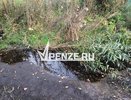 Канализационные стоки травят жителей Зари и реку Пензятку