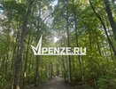 За неделю число пострадавших от нападения клещей выросло в области