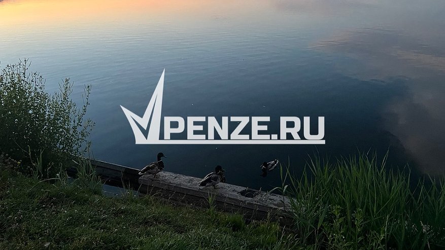 Главная картинка новости: В Каменском районе обнаружили тело на воде