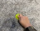 Как быстро почистить ковер дома: работает даже с очень грязными старыми покрытиями — сэкономьте на химчистке