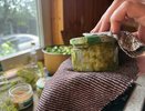 Огурчики маринованные "Баварские" — как из супермаркета: простой рецепт вкусной закуски