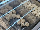 Честный отзыв на продукты "Ермолино": что мне советовали и что я советую сама